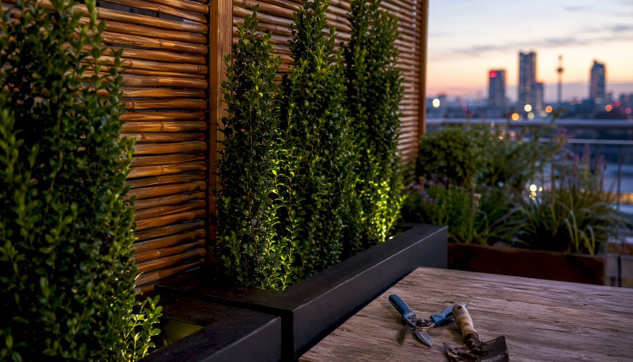 Cedar panel with arborvitae privacy screen