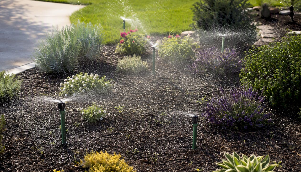 Mixed spray and rotary irrigation heads watering garden
