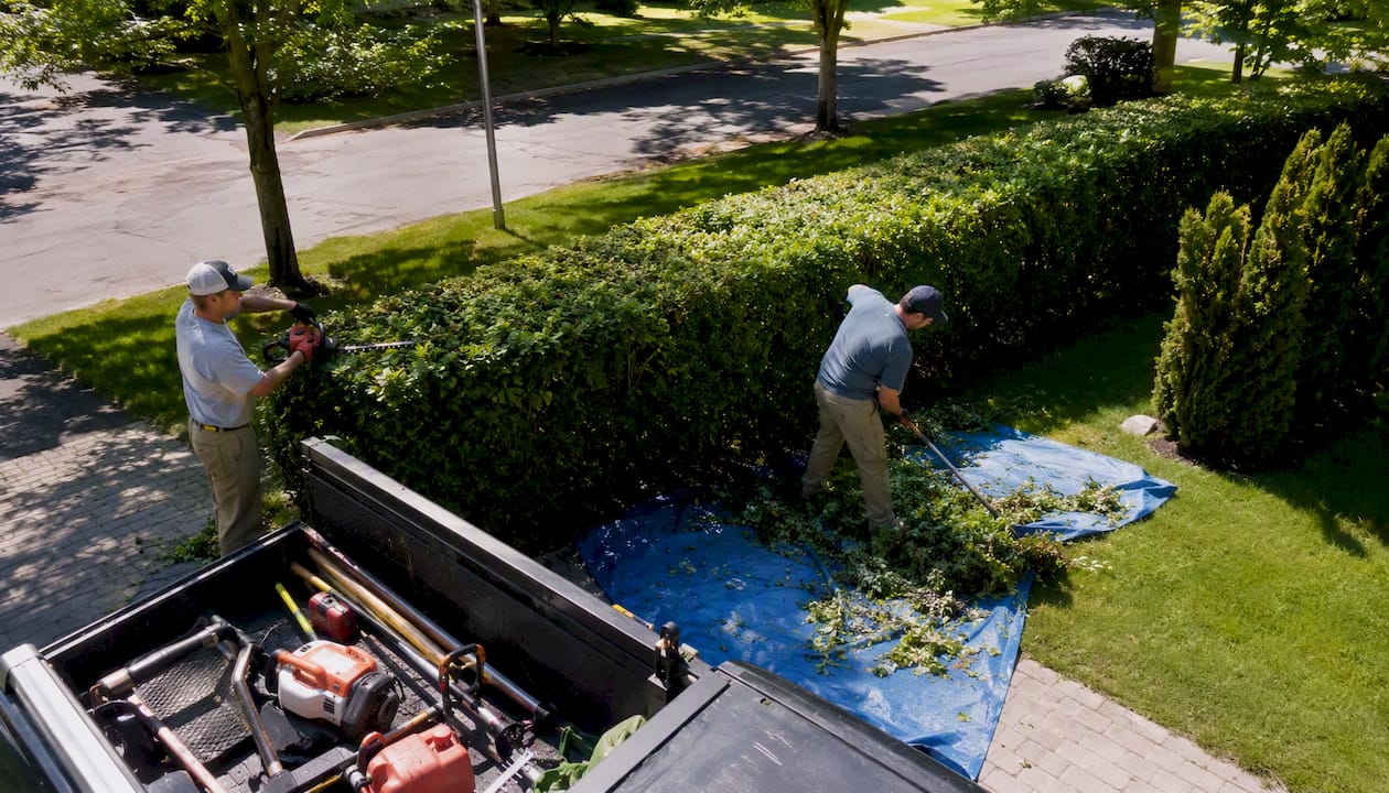 Grounds crew mowing green lawn